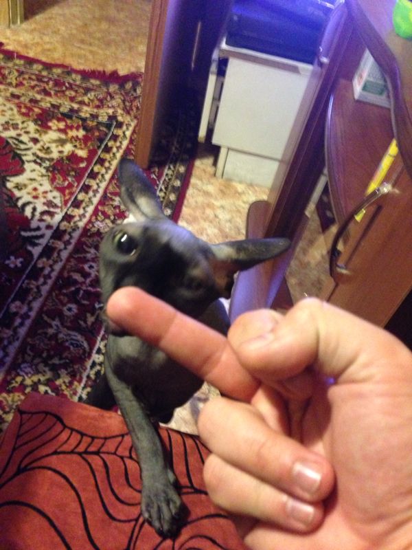 Илья Ширшов | Москва