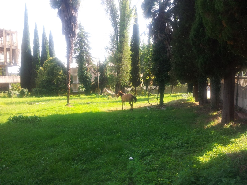 Валерия Корнева ≋Моряк≋ | Москва