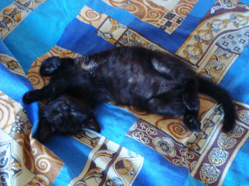 Ольга Соколова | Новокузнецк