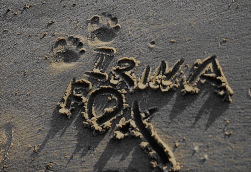 Ирина Кравчук | Новосибирск