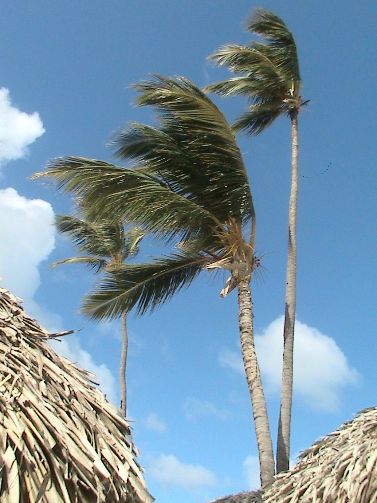 Дима Трусов | Москва