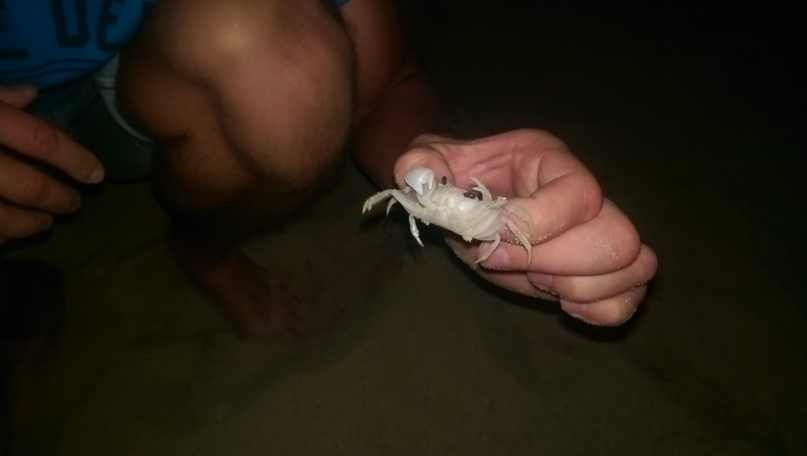 Евгений Степанов | Санкт-Петербург