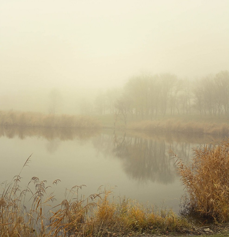 Иван Кочнев |