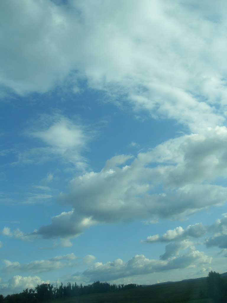 Светлана Воронина | Краснодар