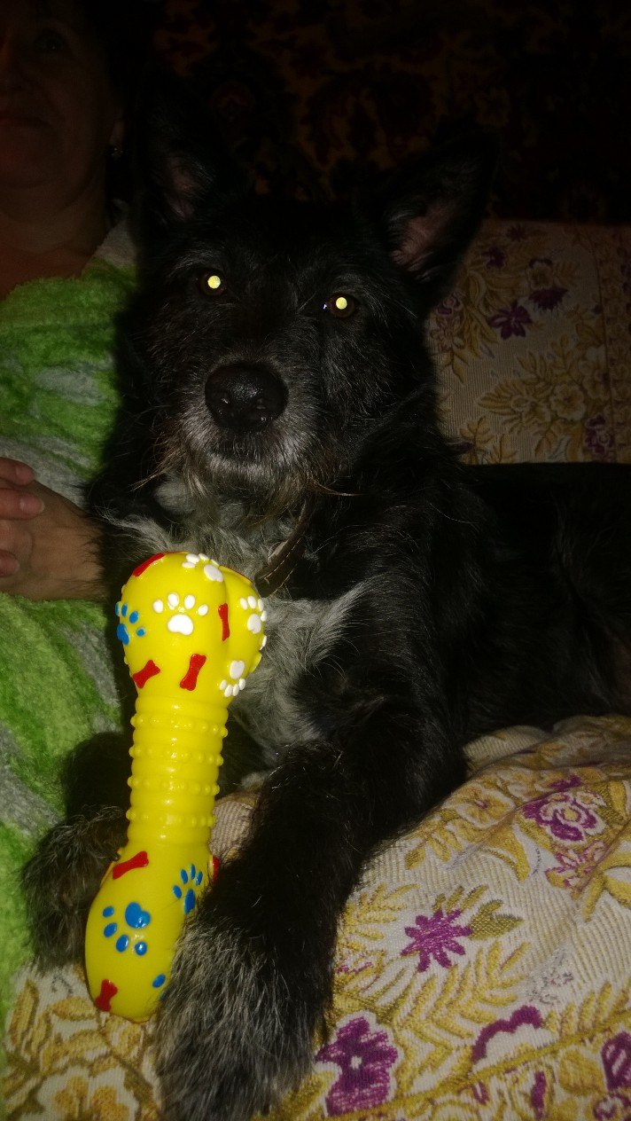 Светлана Адамович | Минск