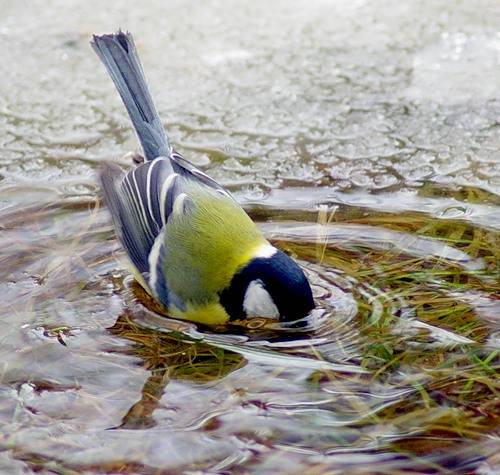 Юлия Шипилова | Москва