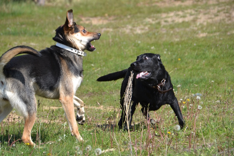 Иринка Чехова | Челябинск