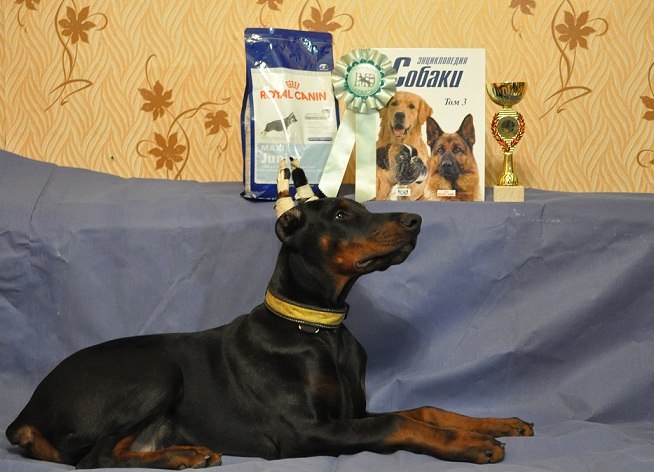 Александра Терехина | Нижний Новгород