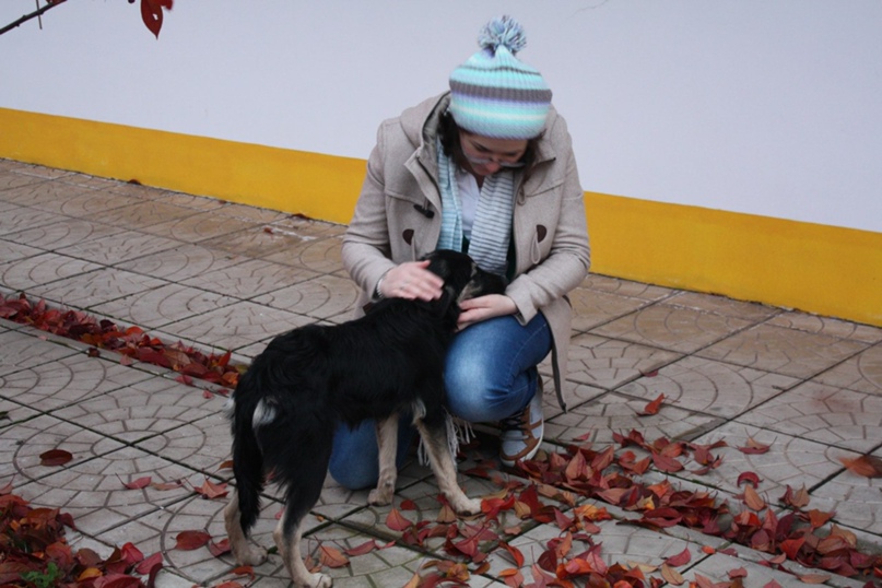 Армине Оганян | Ереван