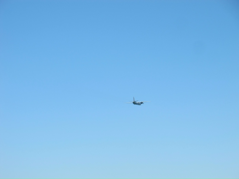 Женя Антонова chebu | Москва