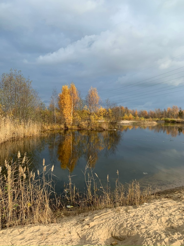 Наташа Филина |