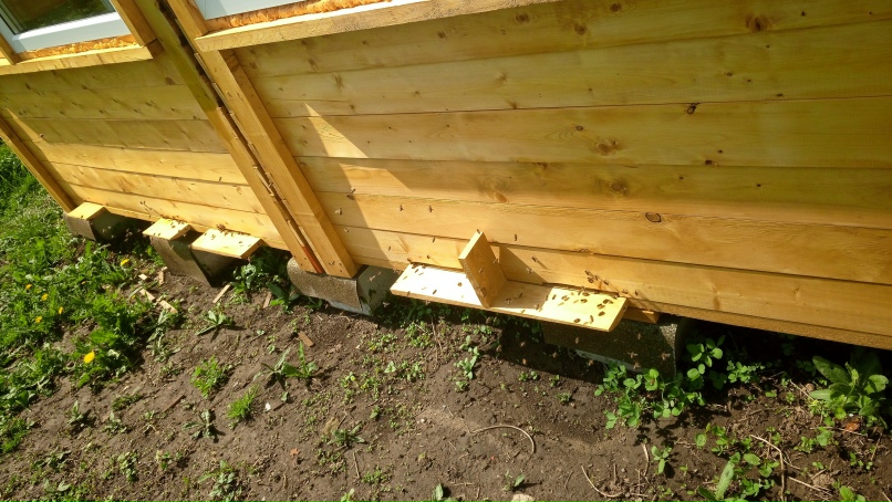 Игорь Гончаренко | Санкт-Петербург