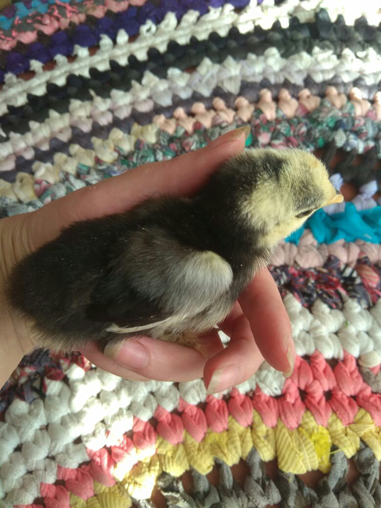 Вера Суслова Александоровна | Санкт-Петербург