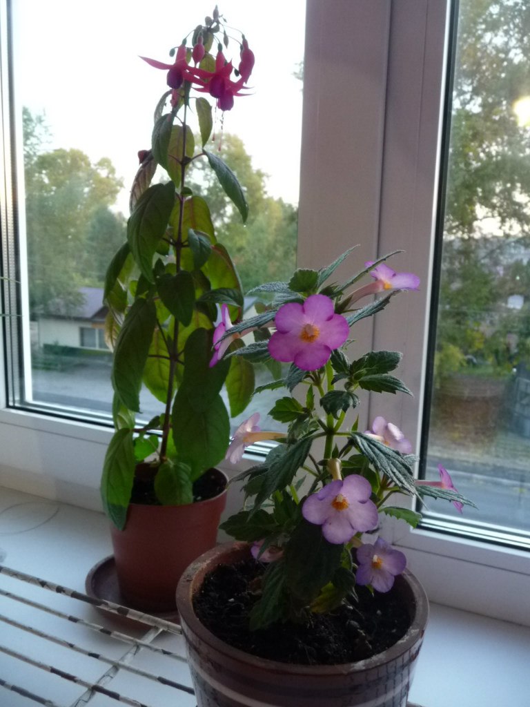 Наталья Колобова | Медвежьегорск