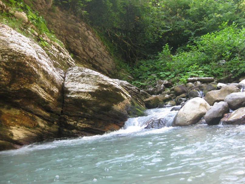 Алиса Халиуллина | Нижнекамск