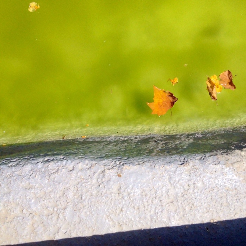 Анна Тарусина | Санкт-Петербург