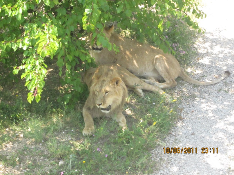 Игорь Константинов | Ухта