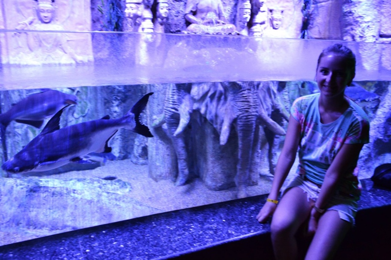 Елена Прибыткова | Измаил