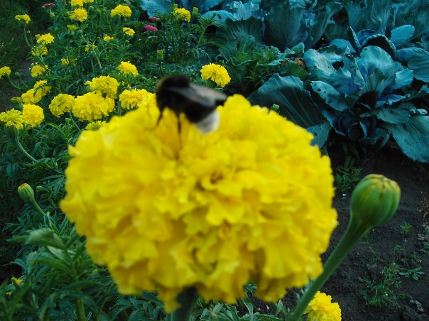 Василий Клементьев | Нижний Новгород