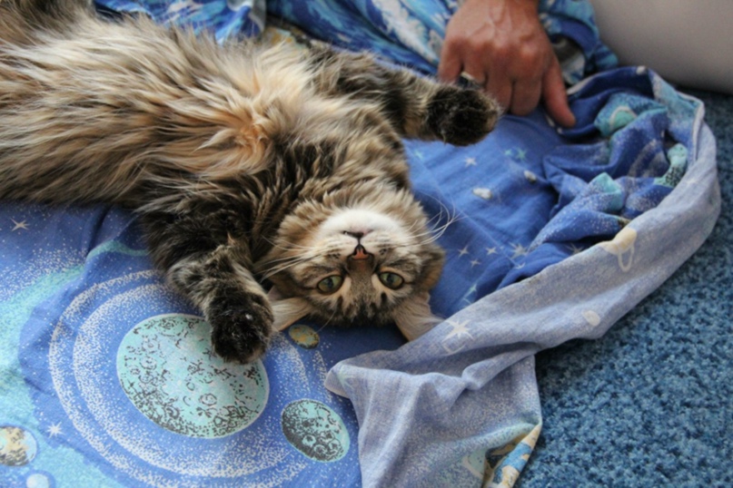 Мария Старостенко | Екатеринбург