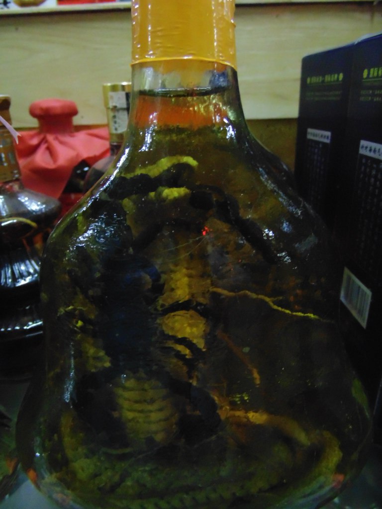 Елена Старцева | Тула