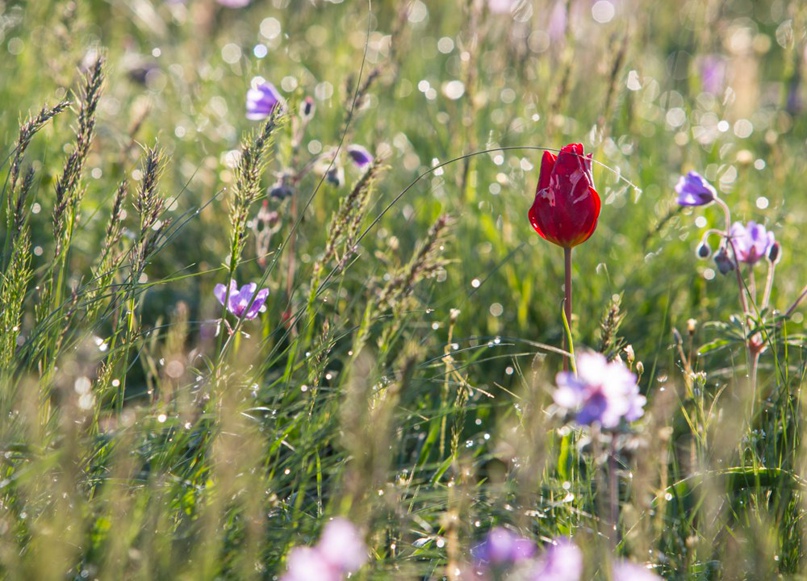 Татьяна Кузнецова | Москва