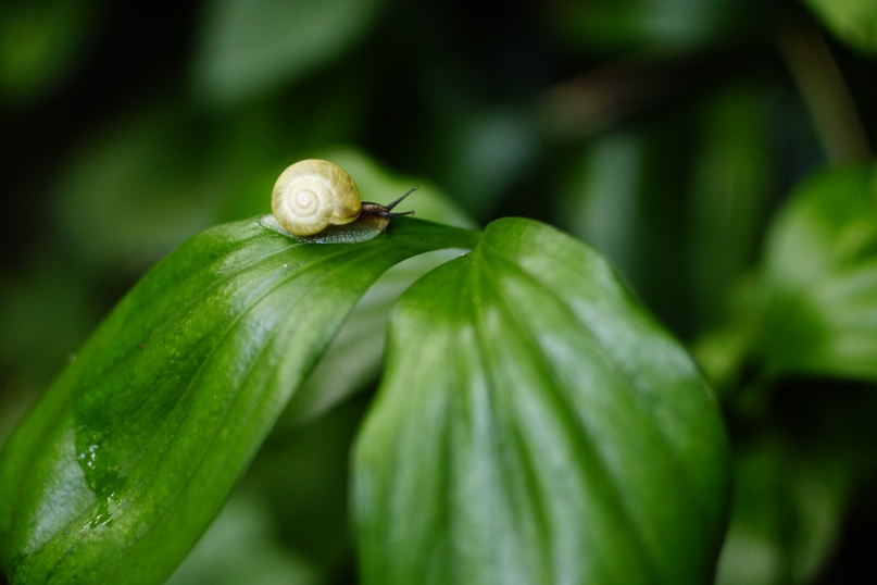 Татьяна Веретенникова | Нижний Тагил