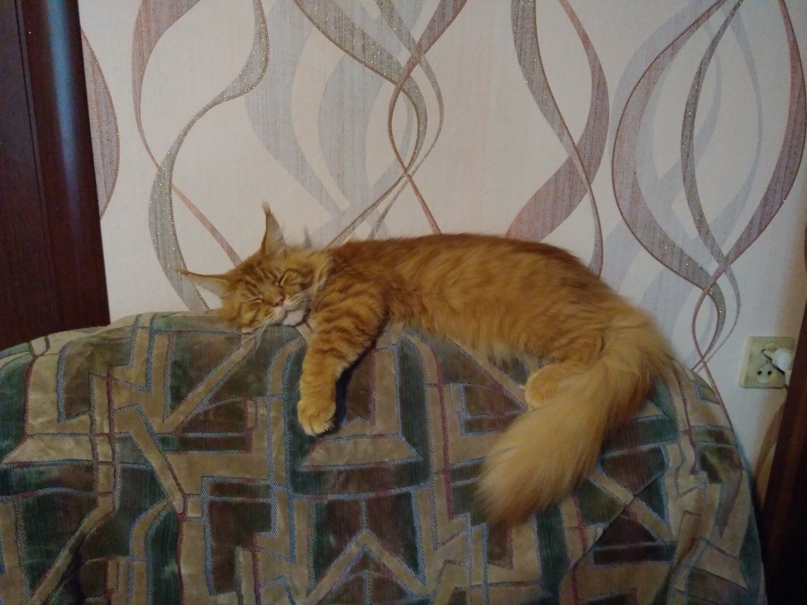 Анна Проскурина | Киев