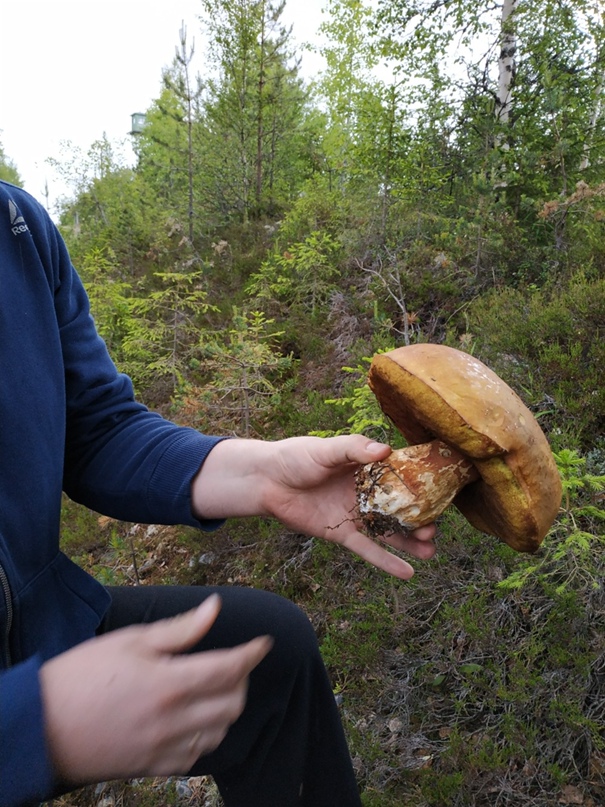 Оксана Голубева Сергеевна | Санкт-Петербург