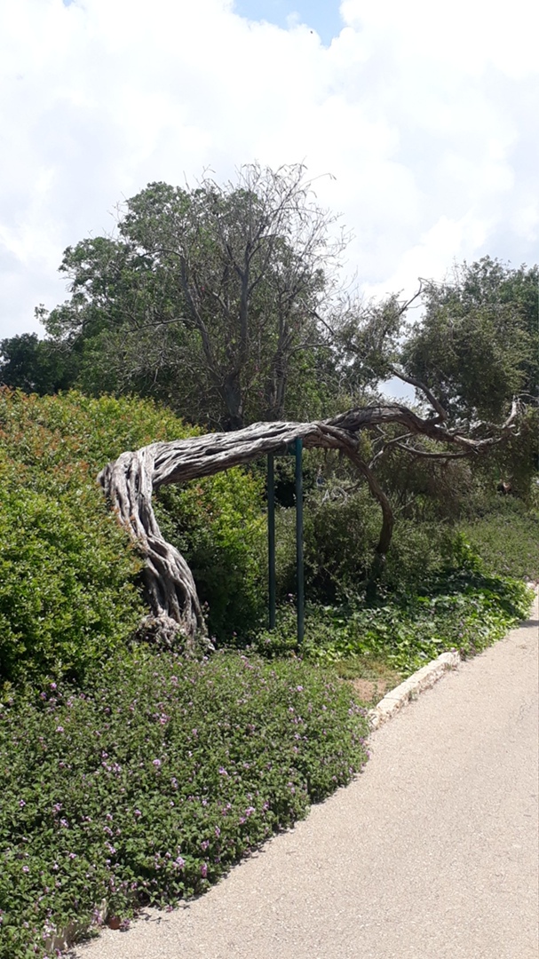 Полина Емельянова | Махачкала