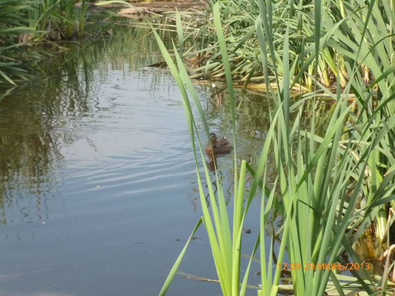 Мария Агапитова | Петрозаводск