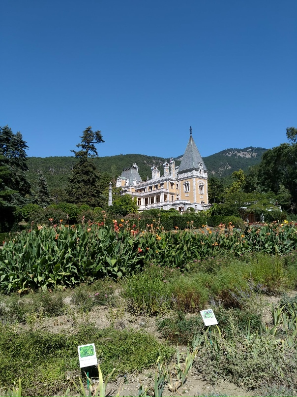 Виталий Сухоруков | Обь