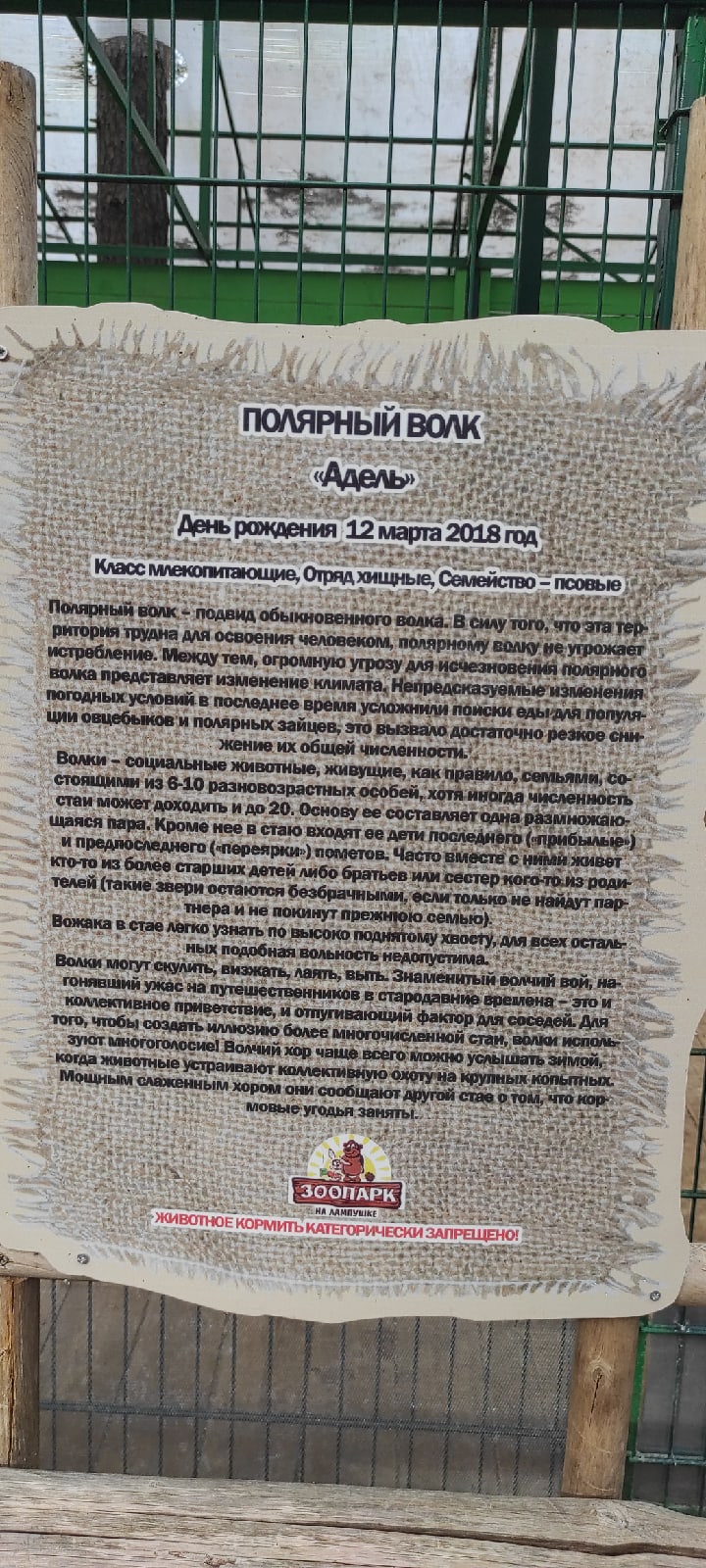 Евгений Будник | Санкт-Петербург