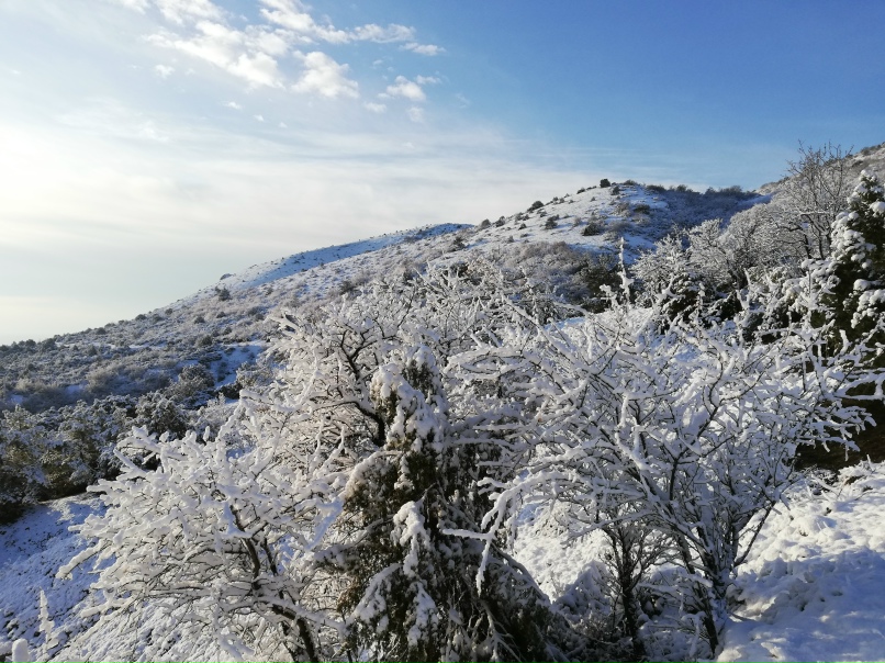 Ирина Уткина | Судак