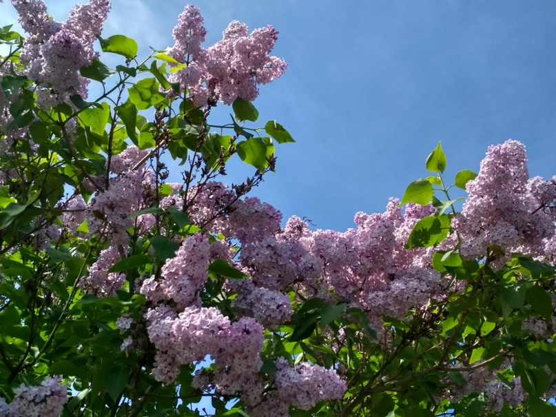 Алексей Логинов | Северодвинск