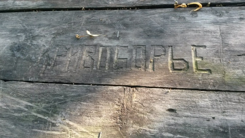 Дмитрий Буравлев | Воронеж