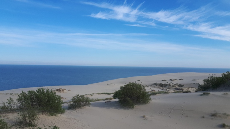 Ирина Сергеева | Санкт-Петербург