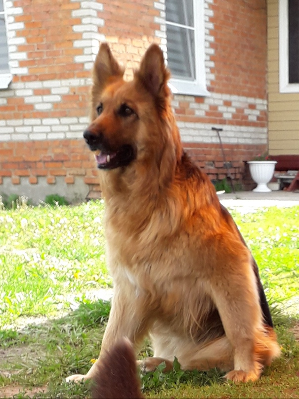 Наталья Свирина | Ильинский Погост