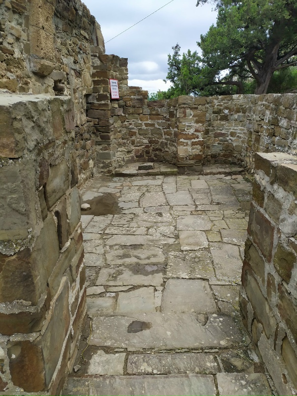 Ирина Титова | Санкт-Петербург