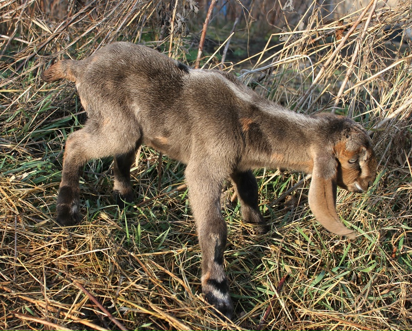 Екатерина Казьмина | Майкоп