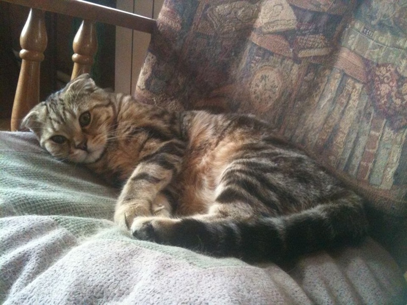 Мария Сарычева | Москва