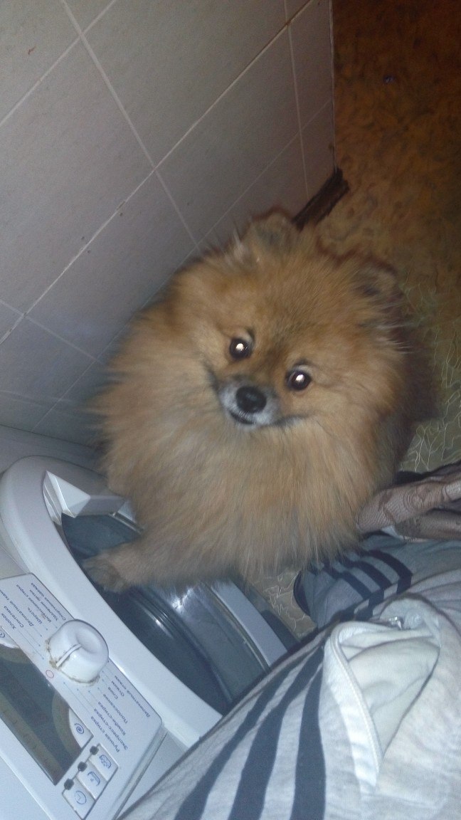 Ринат Ситдиков | Москва