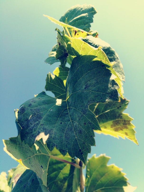 Григорий Кондратьев GARIK | Верхняя Салда