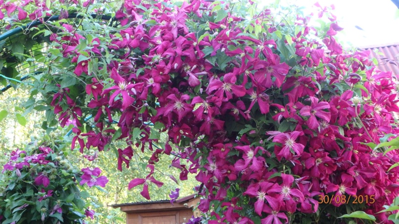 Инна Усова | Санкт-Петербург