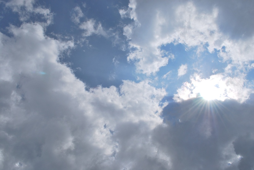 Алиса Встранечудес | Киев