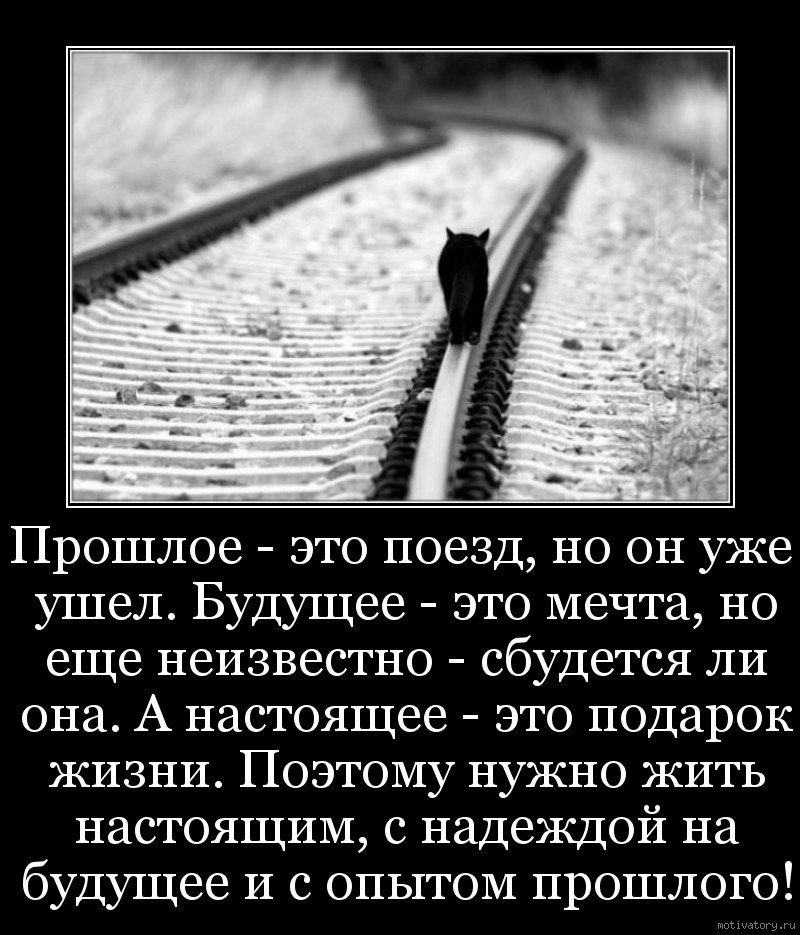Юлия Метелева | Санкт-Петербург