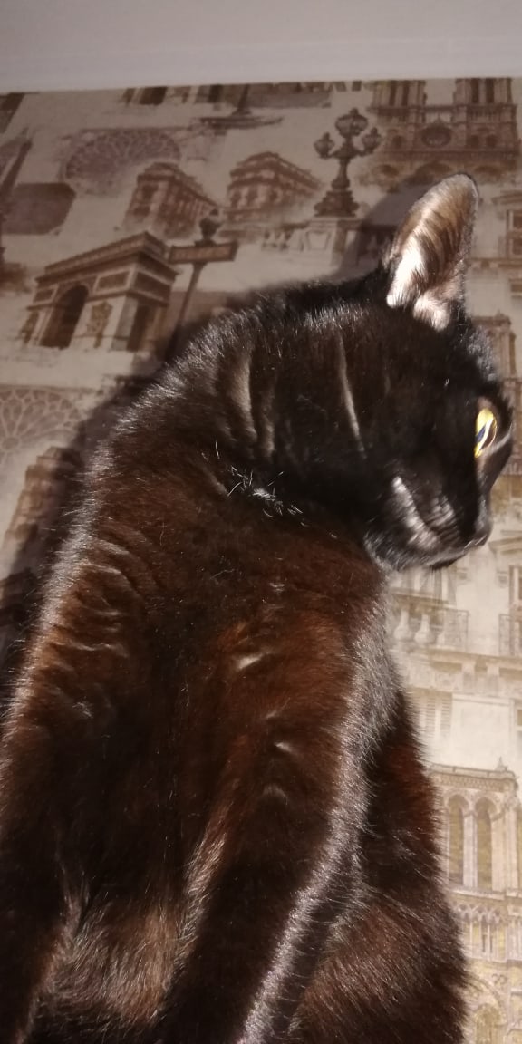 Александр Кирилюк | Санкт-Петербург