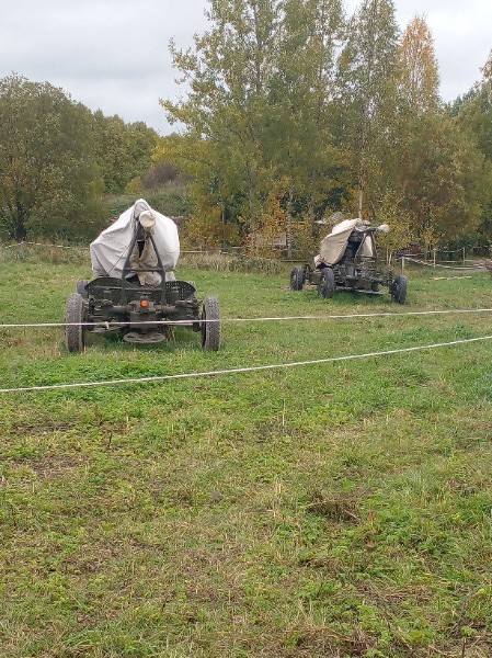 Денис Кольцов | Санкт-Петербург