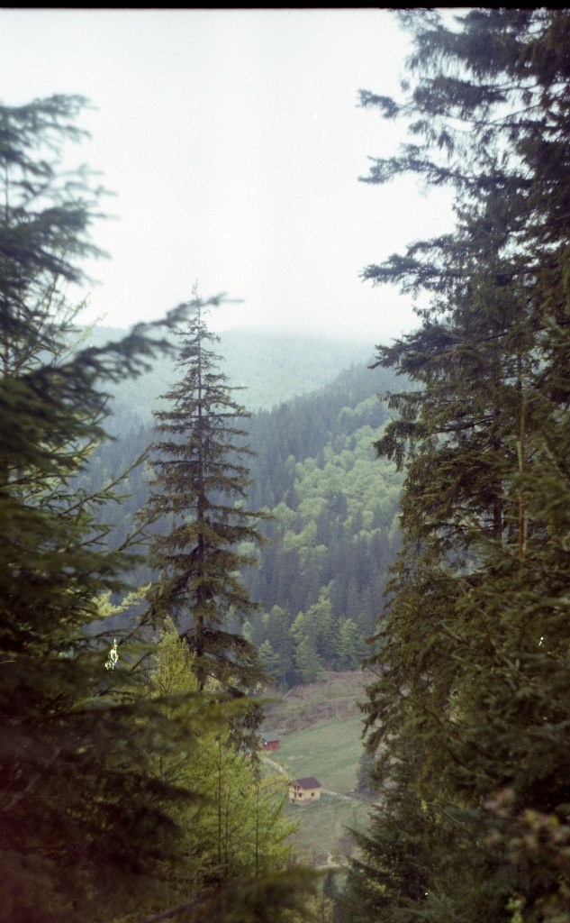 Аарагорн Бумбон | Одесса