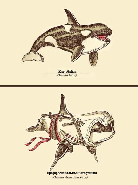 Дмитрий Кит | Москва